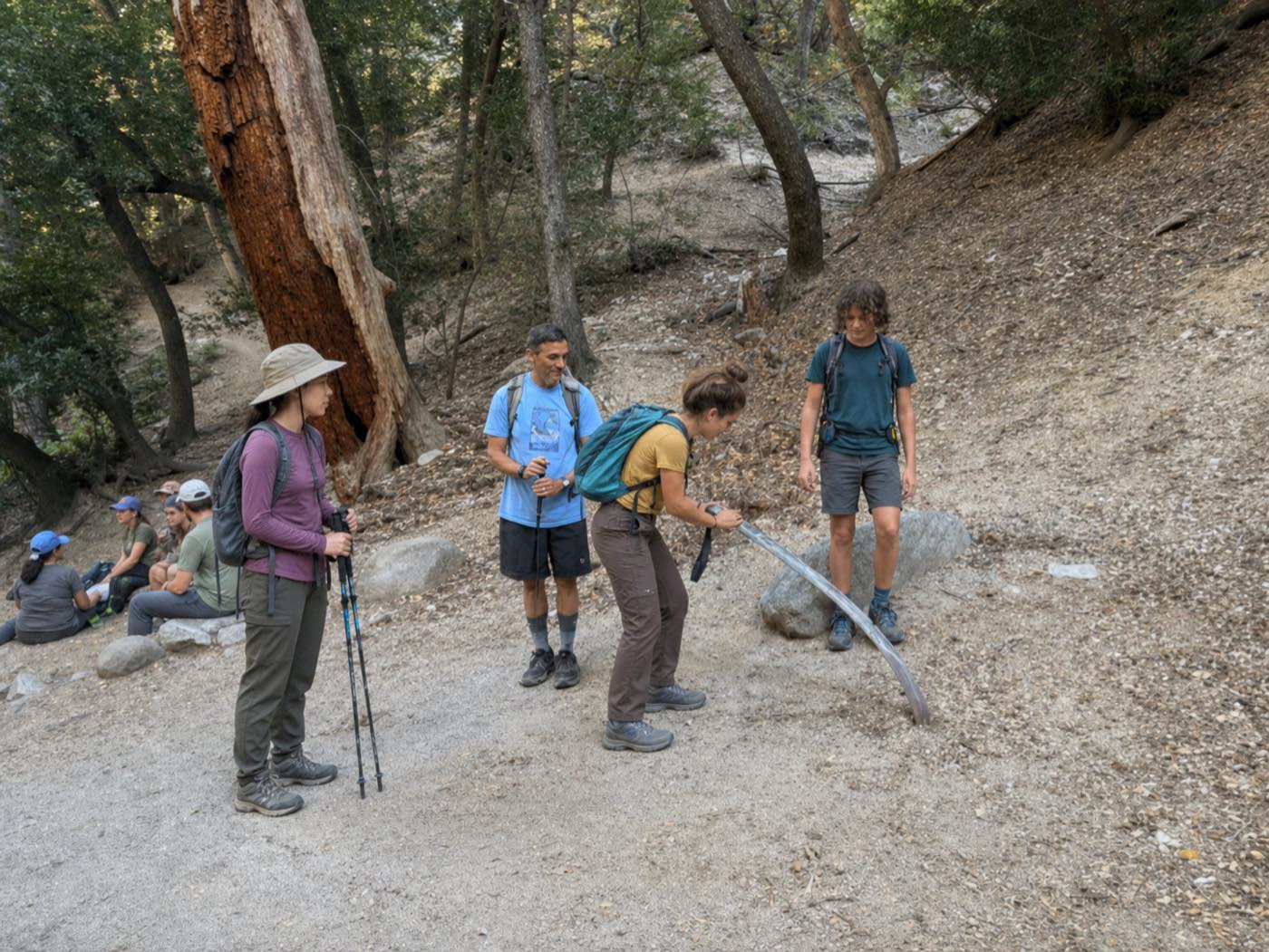 Creek trail in the national forest